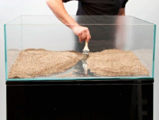 Tips Sederhana Cara Membuat Aquascape Minimalis http://www.masrohman.com/2018/12/tips-sederhana-cara-membuat-aquascape.html