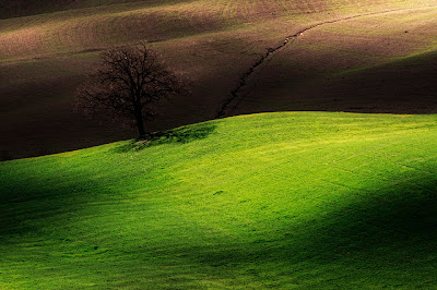effect of location on light