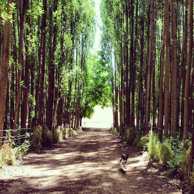 göldeki ev Ocak 2016