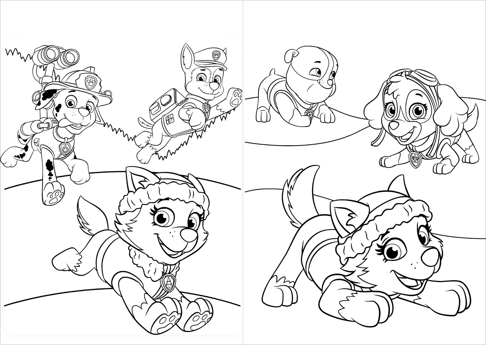 Patrulha Canina  Paw patrol coloring pages, Paw patrol coloring, Cartoon  coloring pages