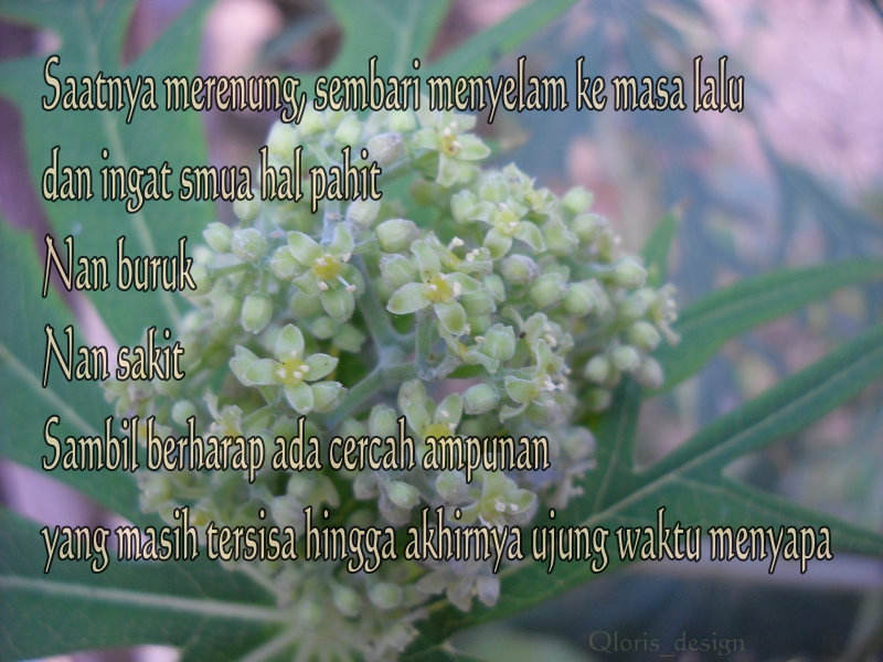 Zona Puisi Selembar DAUN Kering