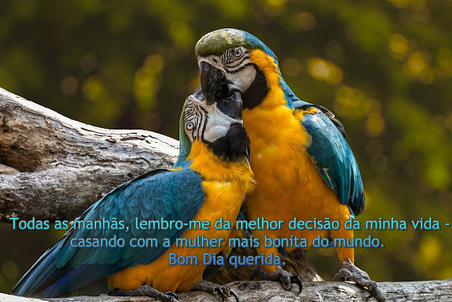 Bom dia minha esposa | bom dia amor da minha vida Bom dia minha esposa | bom dia amor da minha vida
