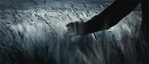 FOTOIMAGENES_sinPALABRAS GLADIADOR GIFS - 23 gifs del film