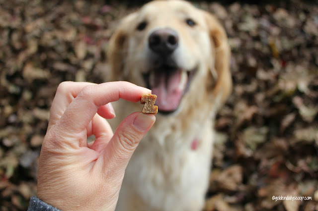nutritious and soft superfood dog treats shaped 