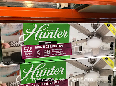 Keep your home cool this summer with the Hunter Avia II Ceiling Fan