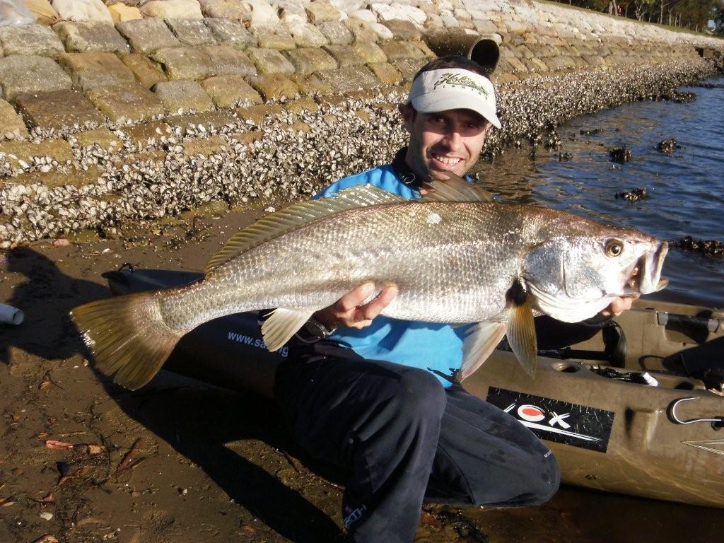 Kayak Fishing Sydney Weekly Report Oyster Bay 17/9/11