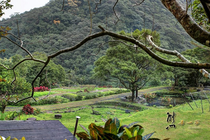 宜蘭頭城農場|原野樂園-焢窯區-窯烤披薩區-蔬菜園-牛舍~田野體驗