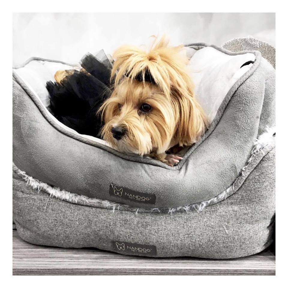 How To Choose The Best Cool Dog Beds For Your Pooch Nandog