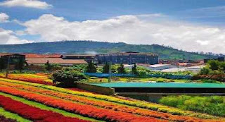 31 Tempat Wisata Keluarga di Bandung yang Cocok Dikunjungi Bersama Anak 31 Tempat Wisata Keluarga di Bandung yang Cocok Dikunjungi Bersama Anak