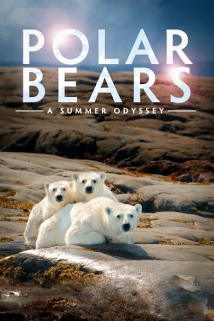 Polar Bears: A Summer Odyssey (2012) ταινιες online seires xrysoi greek subs