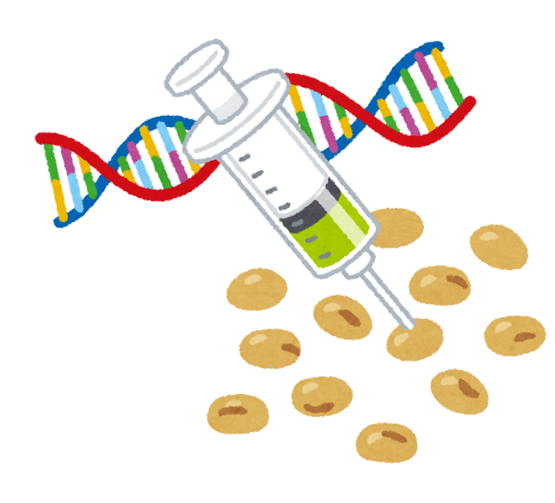 遺伝子組み換え食品のイラスト 大豆 かわいいフリー素材集 いらすとや
