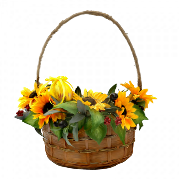 sunflowers in baskets