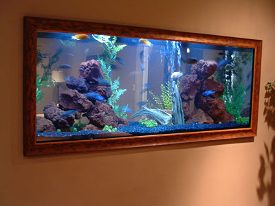 Cara Membuat Aquarium Dinding Minimalis