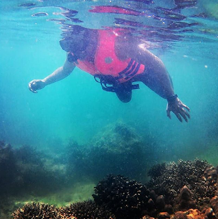 Snorkeling Pulau Panjang Jepara