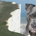 Pit Bull saves young girl from falling off deadly 60-foot cliff