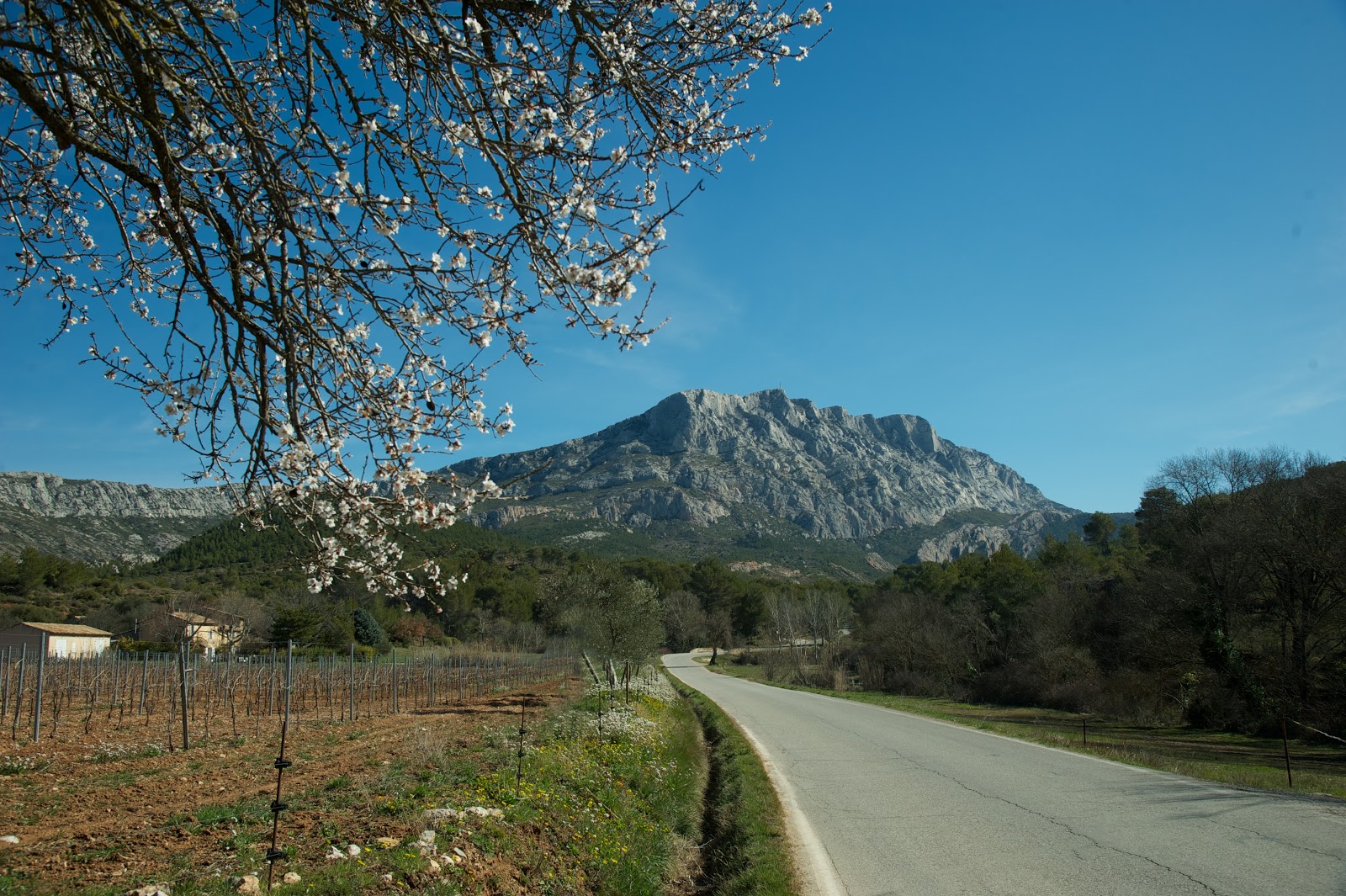 Mes voyages LA MONTAGNE SAINTE VICTOIRE