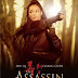 The Assassin (2015)