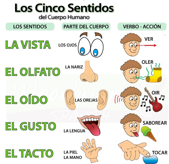 Las manchas negras en la piel entre los pies el hongo