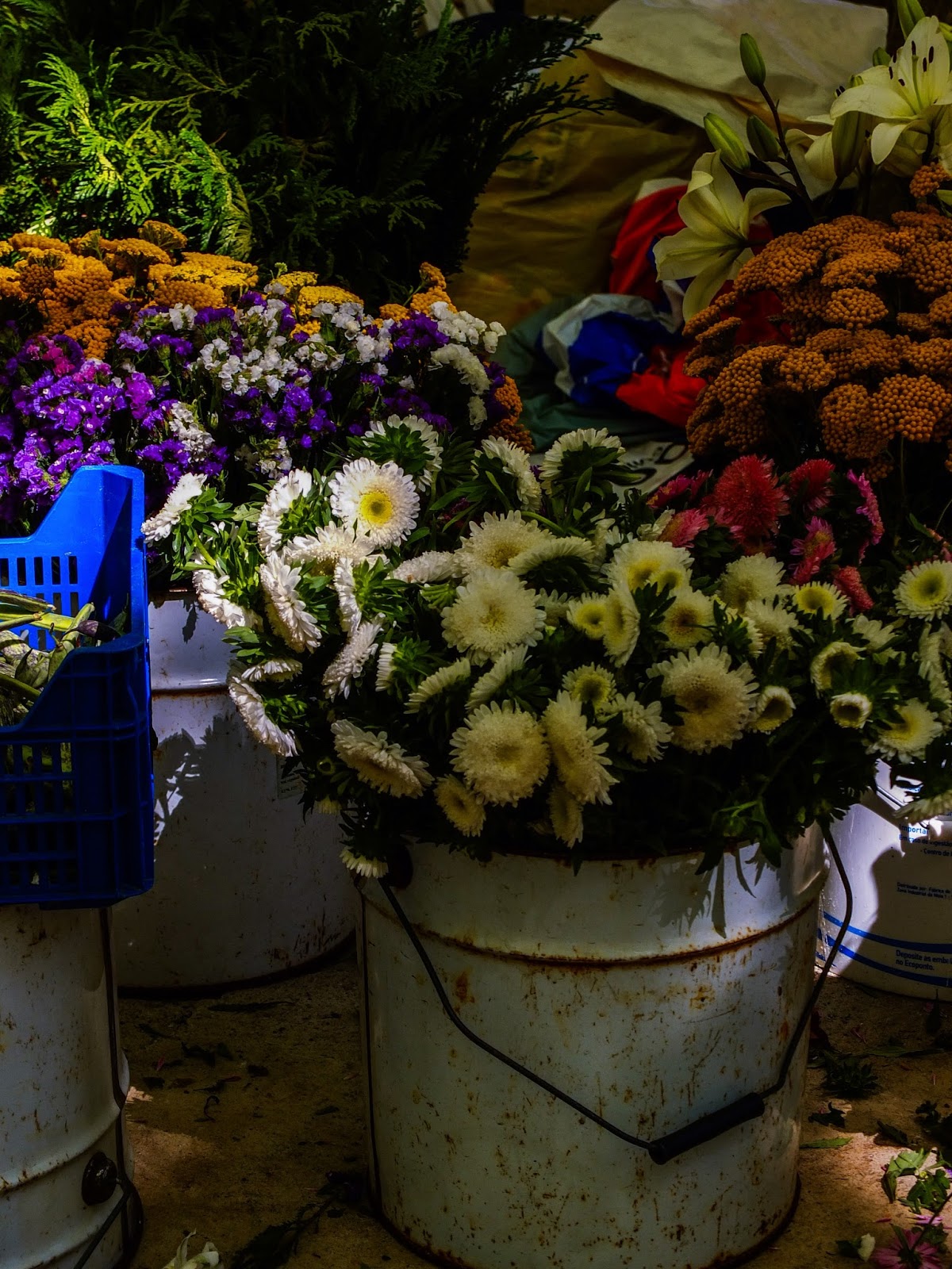 Flowers in a white rusty bucket displayed in sunlight at a market in Porto, Portugal.