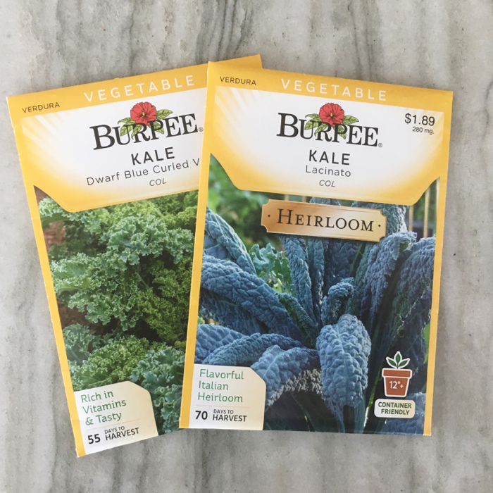 Kale seeds