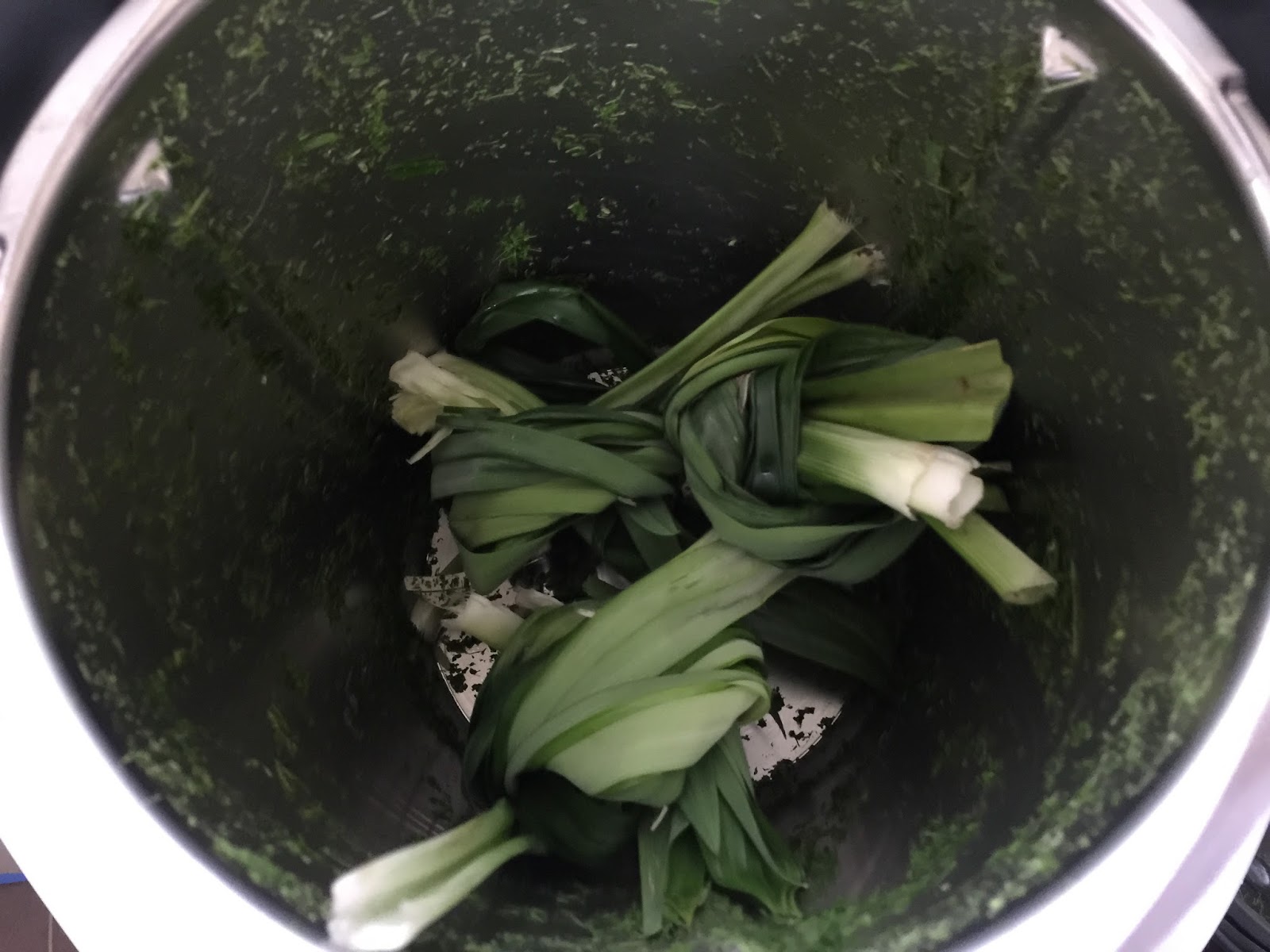 The Right to Be Alive Thermomix Pandan Extract (Pure HomeMade Green