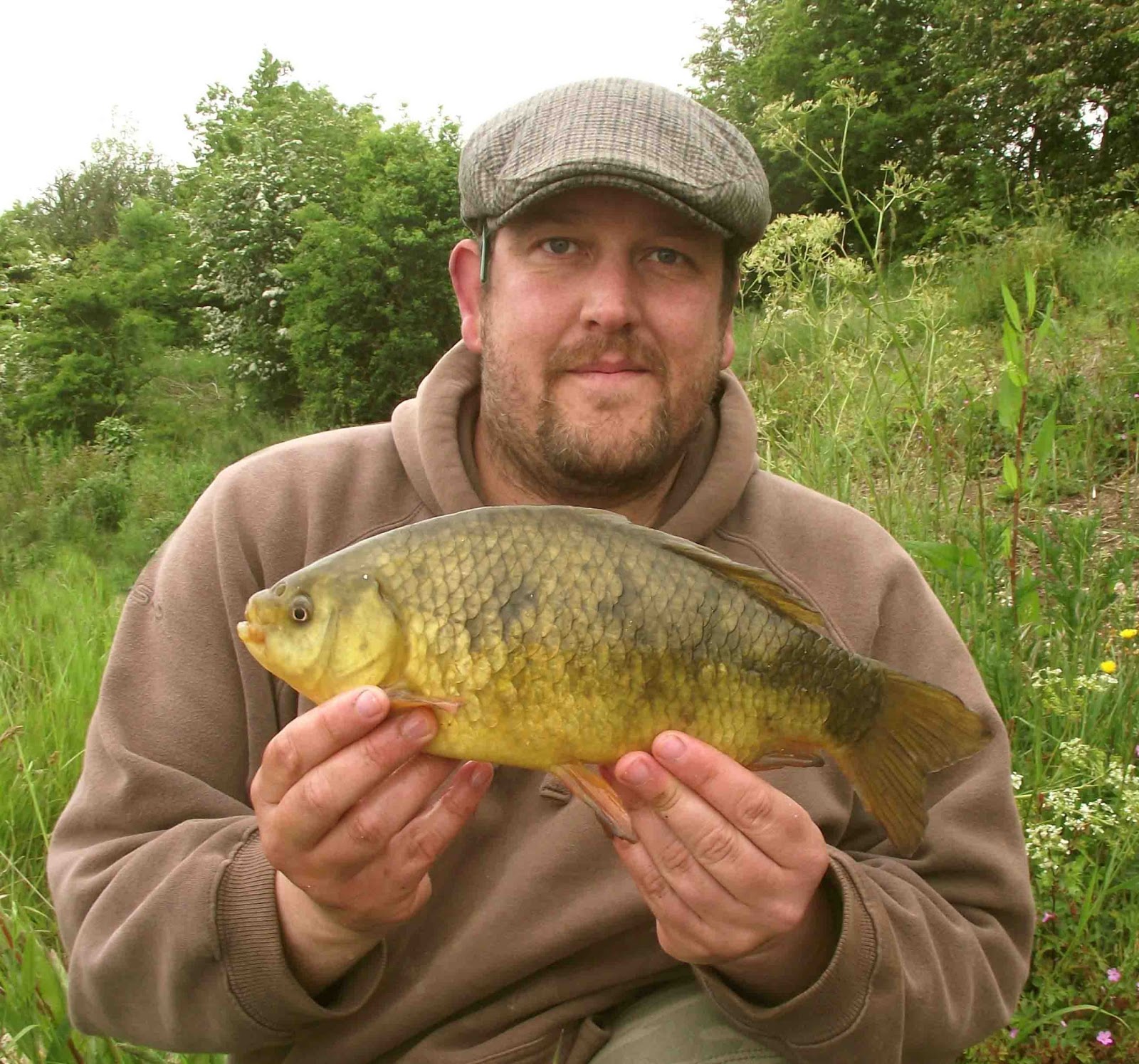 How to catch crucians How to catch crucians