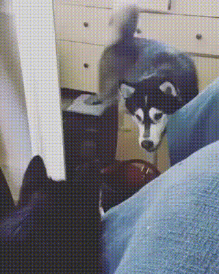 ea3479df23ad14ab6e524145791e7882.gif