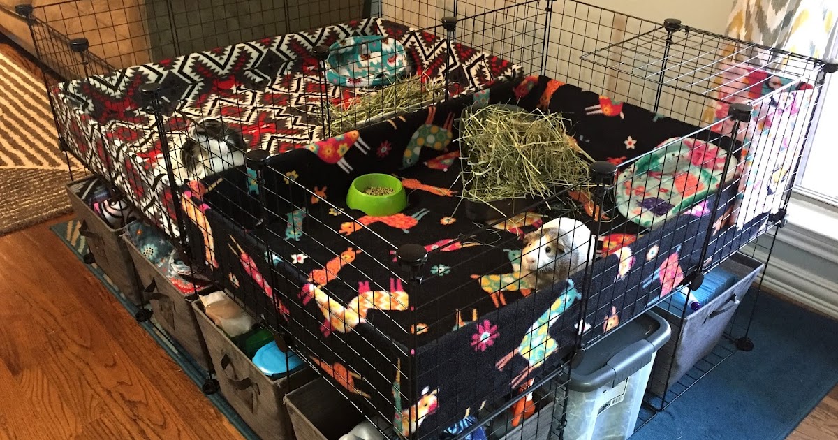 Three Owls Handmade How to Build Divided a C&C Cage Like Sid & Sebastian