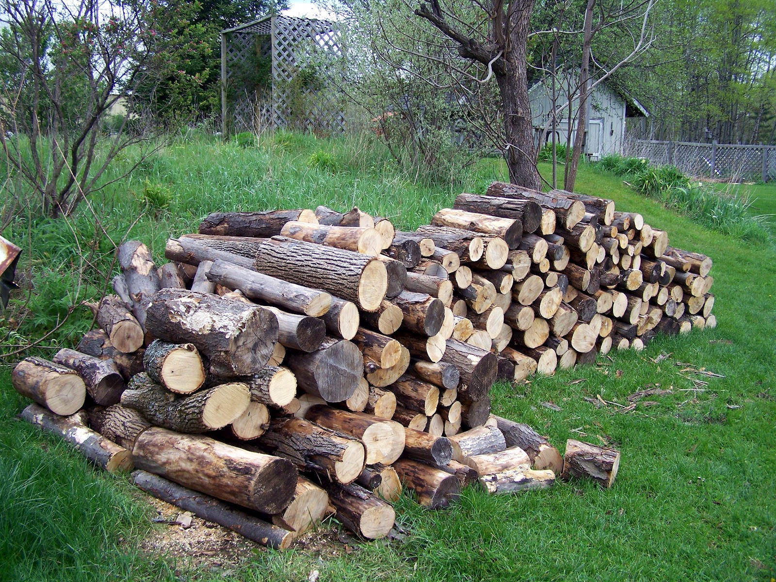 Restful Trails Food Forest Garden photo progress of woodpile after 1