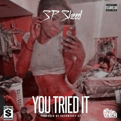 SP Sheed - "You Tried It" / www.hiphopondeck.com