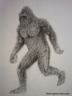 Bigfoot Art
