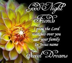 good night good night