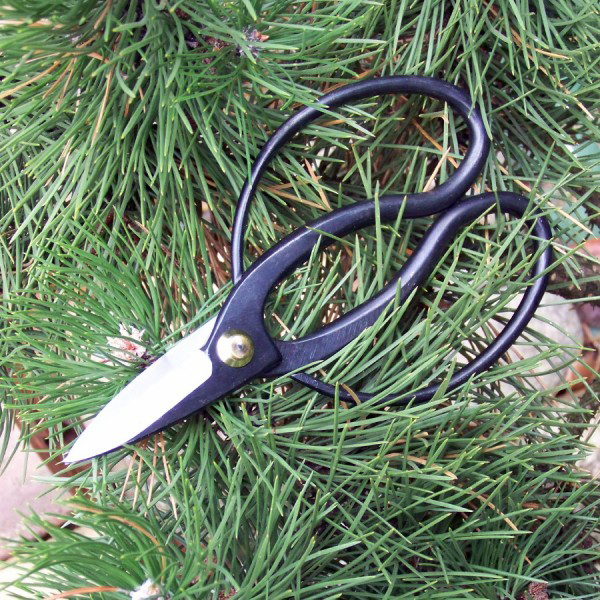 Japanese Bonsai Shears 'Butterfly Scissors'