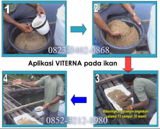 TEKNIK MEMBUDIDAYAKAN IKAN PATIN - AGEN PUPUK TAMBAK NASA TEKNIK MEMBUDIDAYAKAN IKAN PATIN - AGEN PUPUK TAMBAK NASA