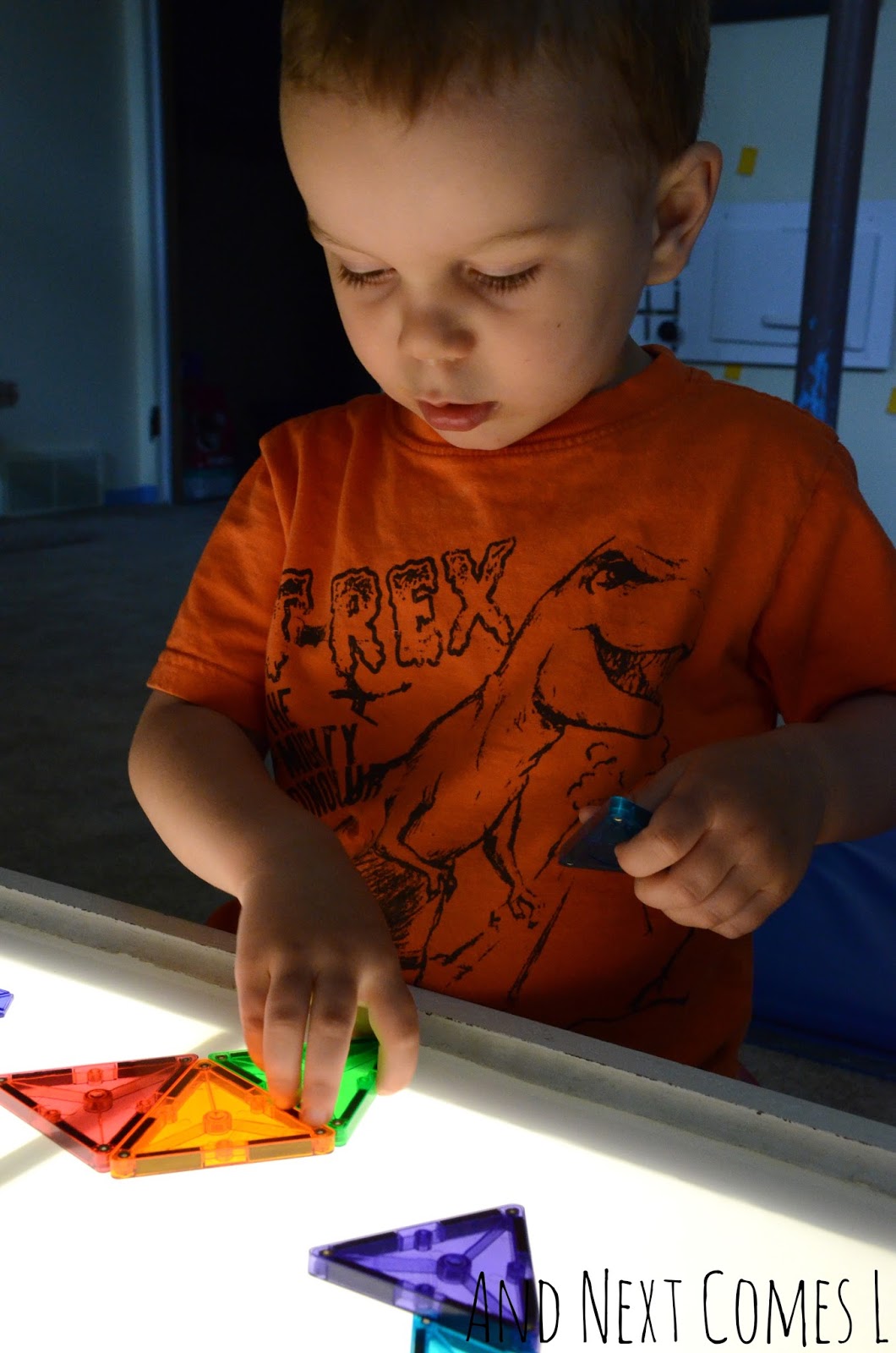 Recreating Shapes on the Light Table And Next Comes L Hyperlexia