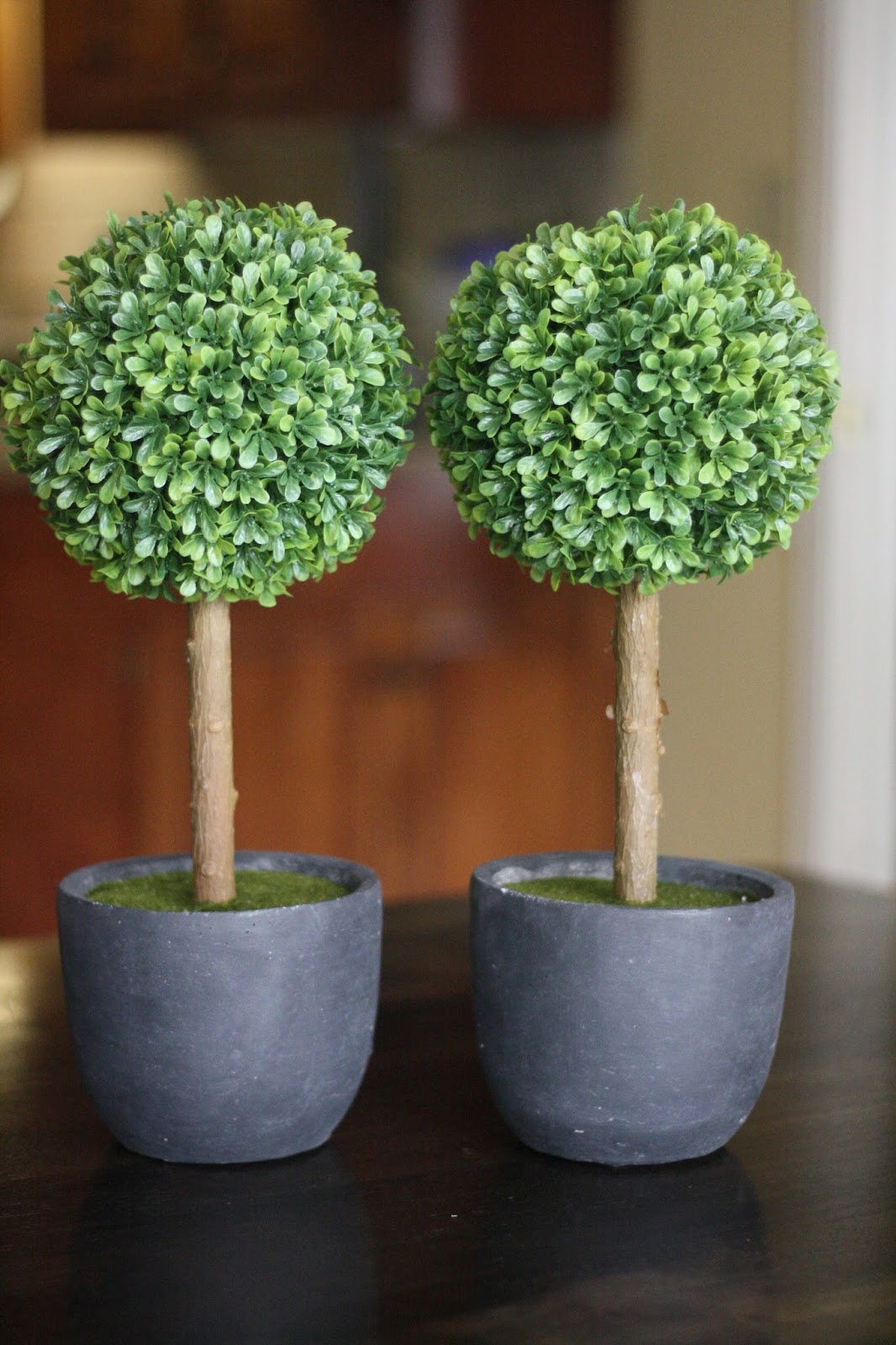 78 Best Topiary Art Images Topiary Outdoor Topiary Topiary Decor