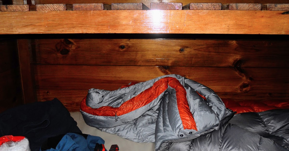 Tramping in the New Zealand backcountry NZ Bush Adventures My