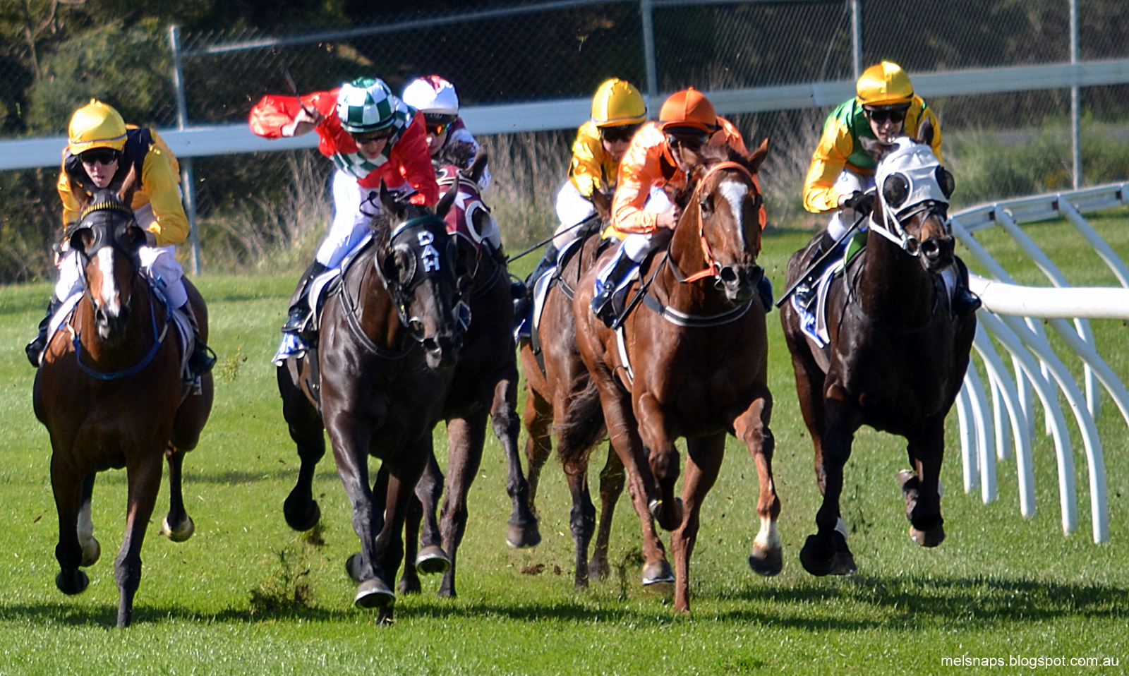 MELBOURNE.SNAPS Spring Racing Season