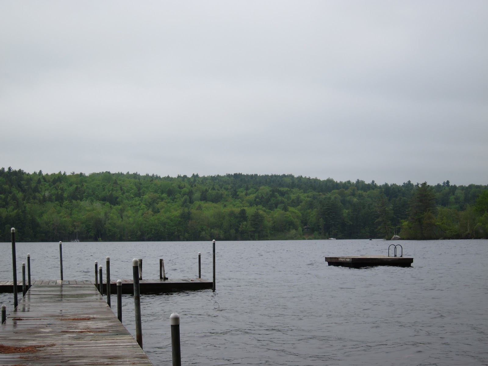 wake up call of the loons at Thompson Lake, Maine...
