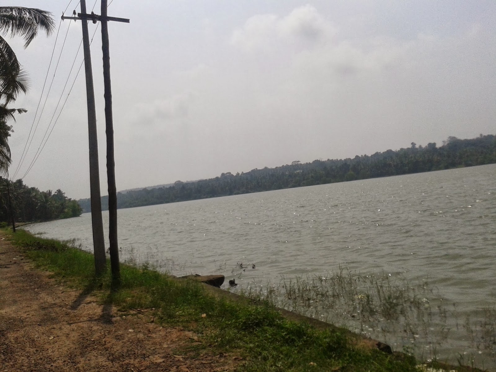 Vellayani kayal / Vellayani Lake