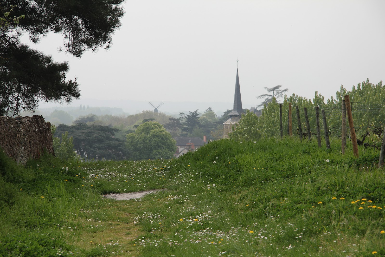 Merveilleux Anjou Savennières