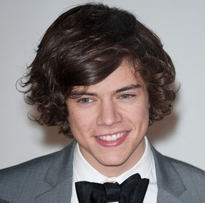 HARRY STYLES ONE DIRECTION HAIRSTYLES