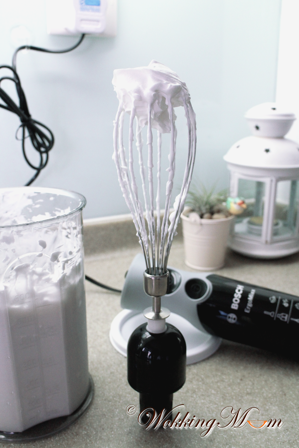 Let's get Wokking! Product Review Bosch ErgoMixx Hand Blender