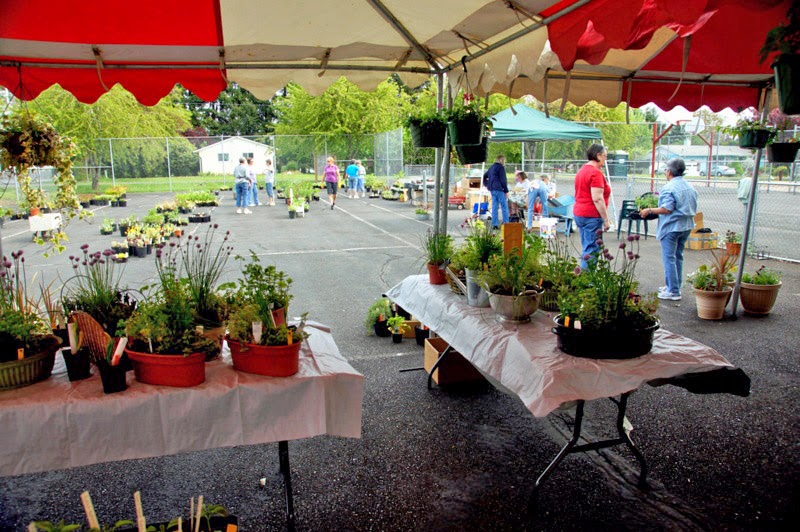 North Plains Community Garden Club