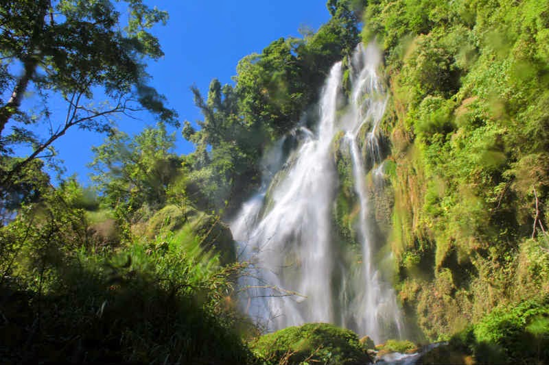 Taman Nasional Laiwangi Wanggameti : Menelisik Habitat Endemik Kupu