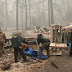 Cifra de muertos asciende a 31 en incendios de California.