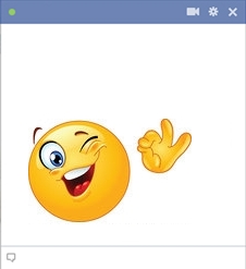 Facebook Chat Smiley Winking OK