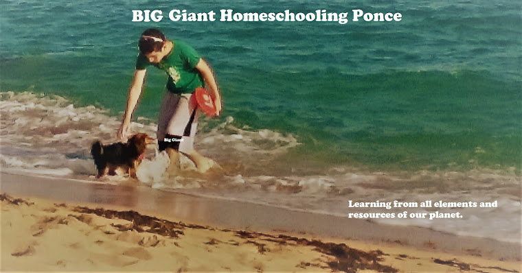 Big Giant Home Schooling Ponce