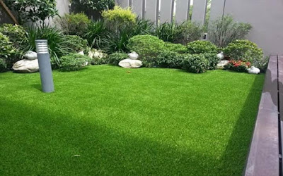  Kutipan singkat tentang kelebihan dari rumput gajah mini Nih Kelebihan Rumput Gajah Mini