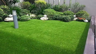 Nih Kelebihan Rumput Gajah Mini